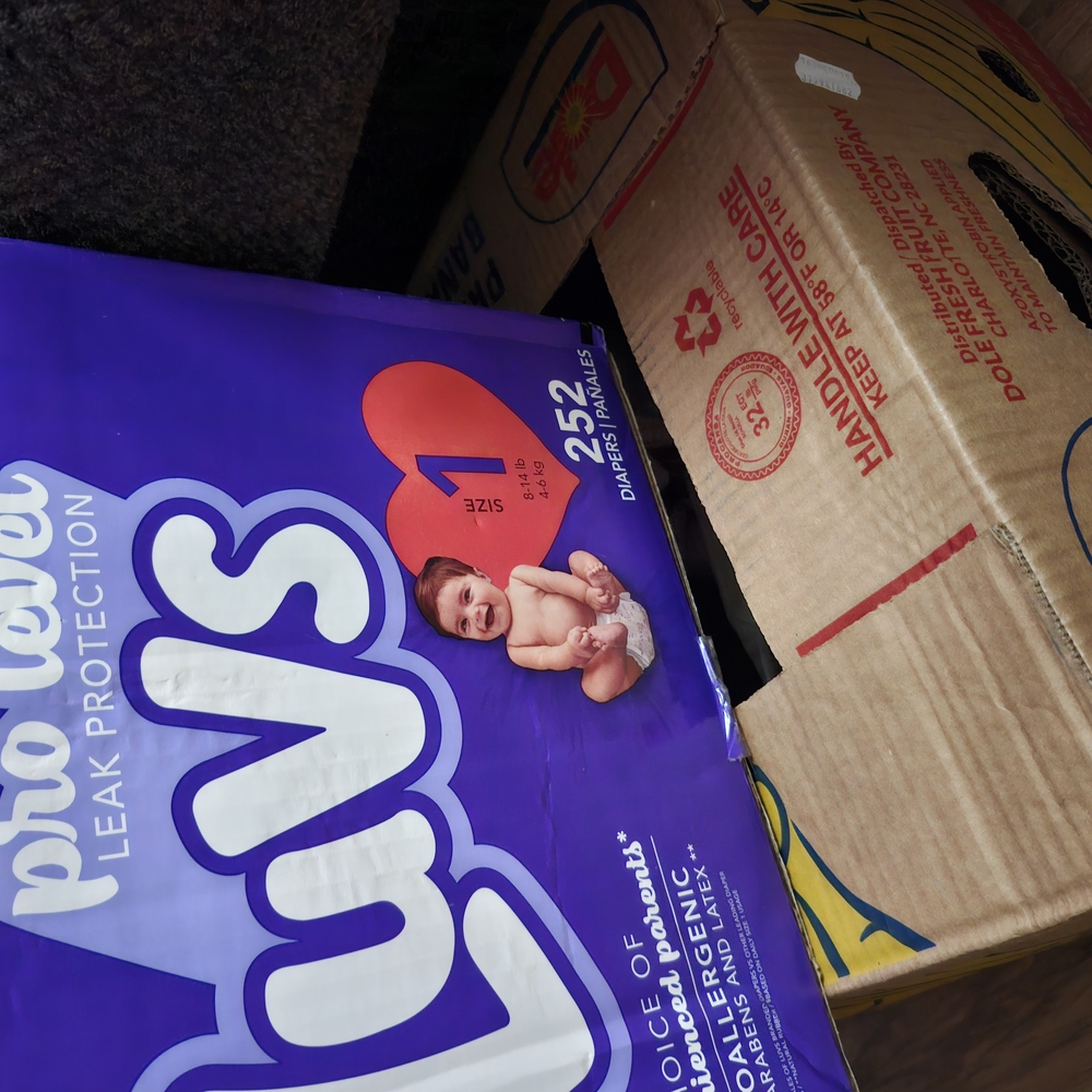 Luvs Size 1 Diapers 250 Count